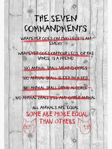 What Chapter Is The First Commandment Broken In Animal Farm